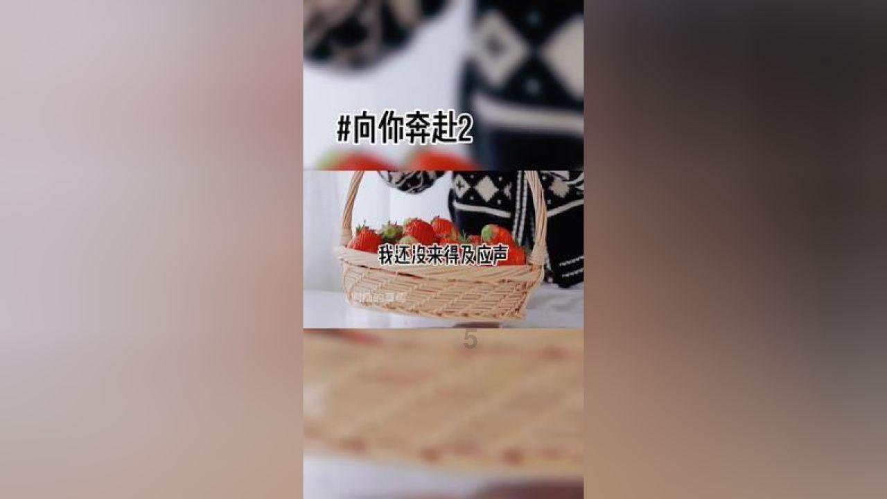 虫虫助手下载
