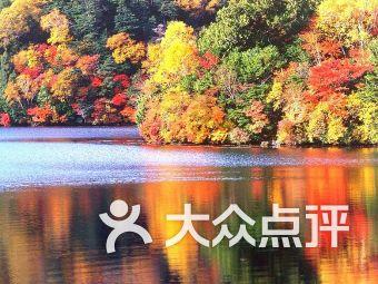 平安产险总经理助理徐霆:每年使用平安好车主服务的用户超5600万人
