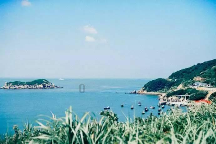 动物帮帮忙保卫家园