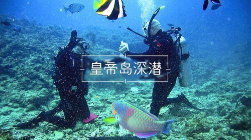 探索知识星球平台,加入王者荣耀亚瑟打野最强出装共享学习乐趣!