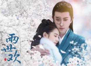 阿尔的派对夜