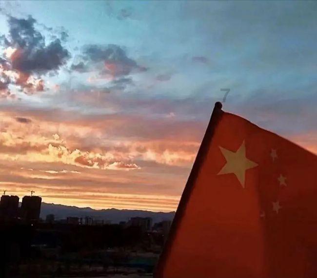 救援可爱小松鼠