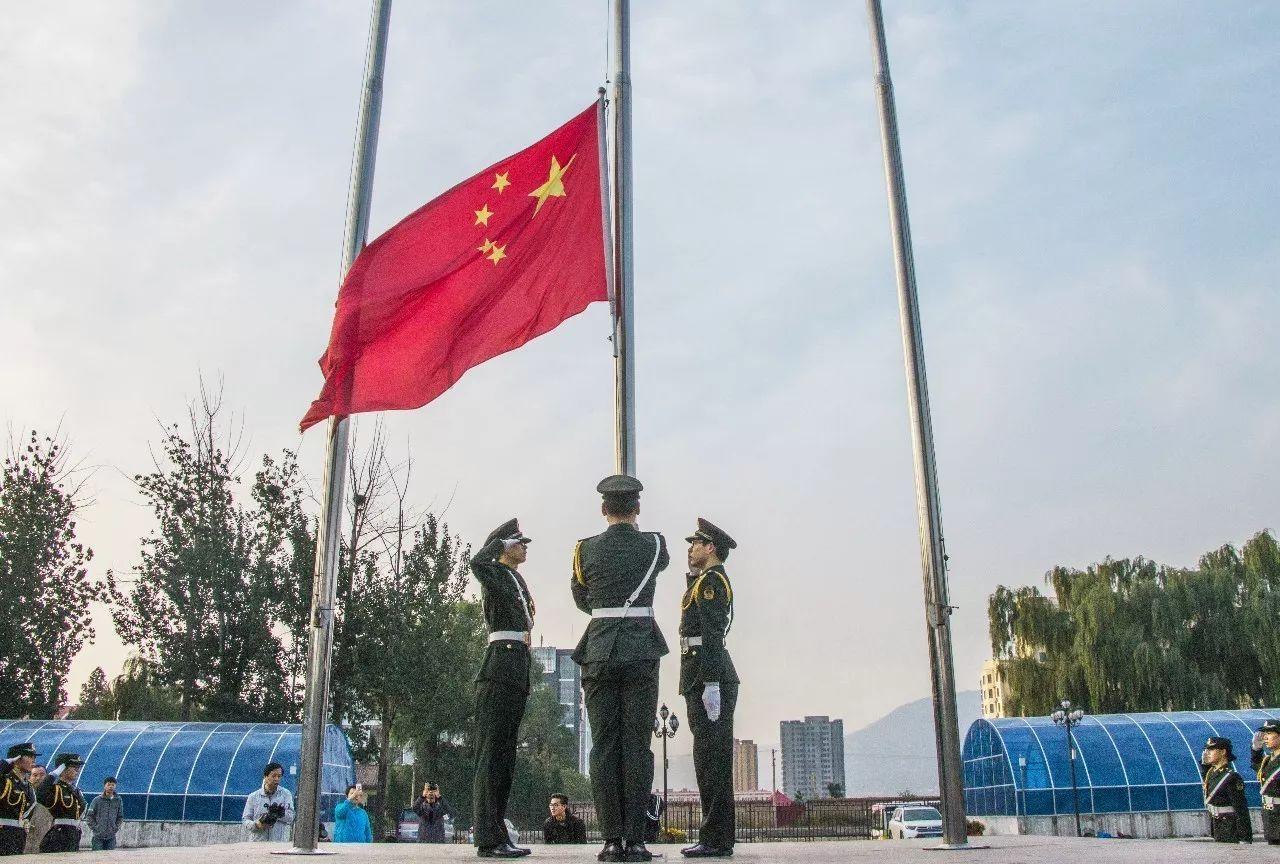 救援鹦鹉