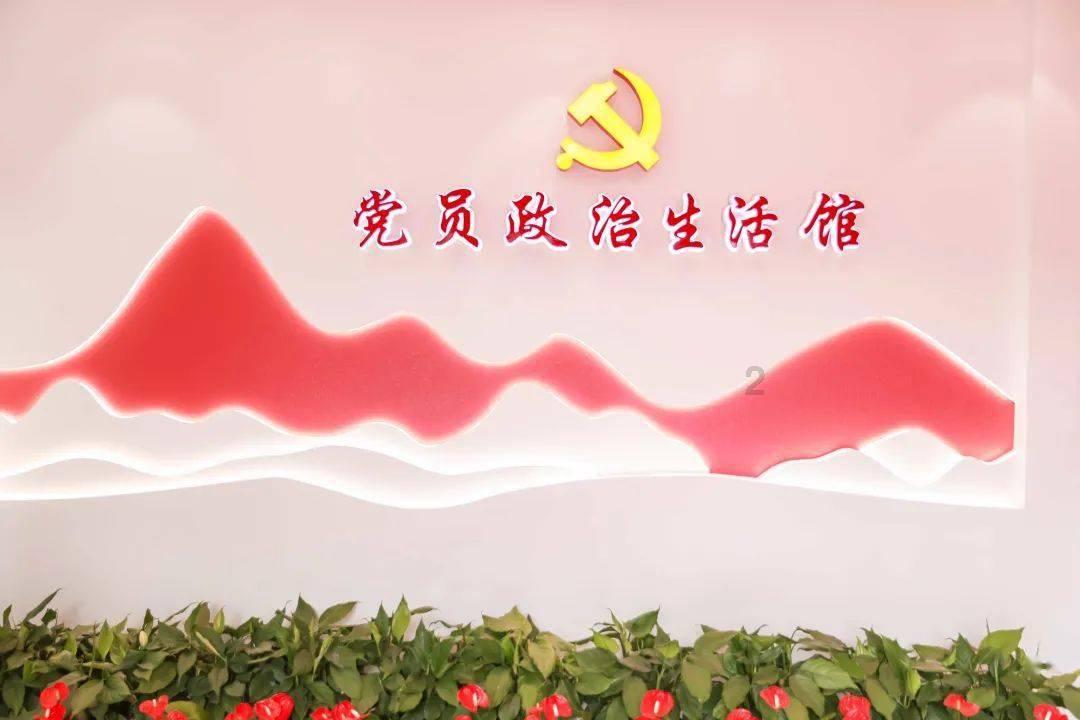 创作猫