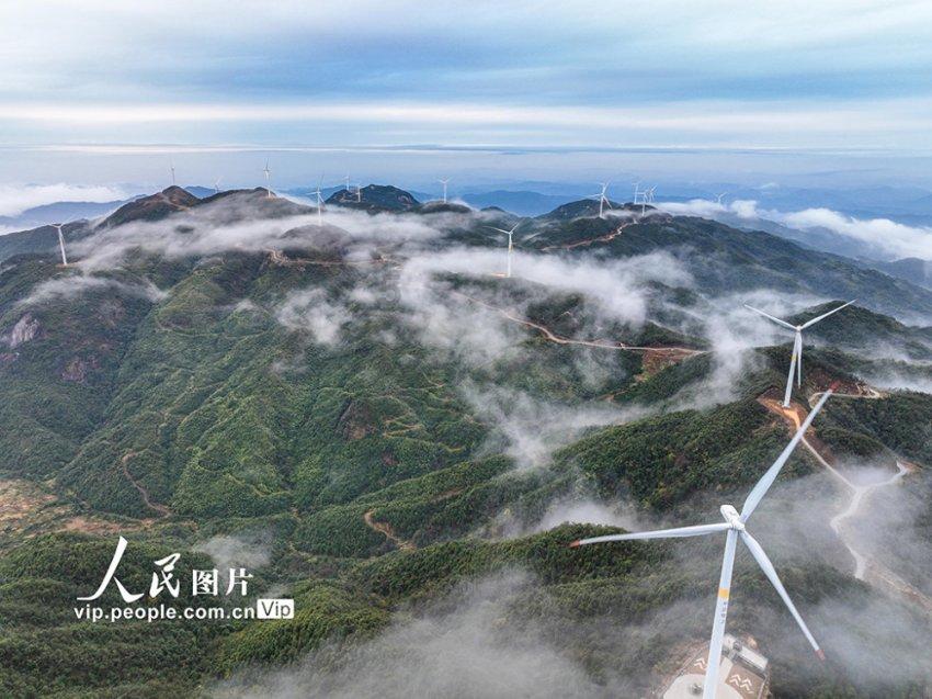 2月初有望上线的电视剧，悬疑、武侠、轻喜都有，你期待哪部？