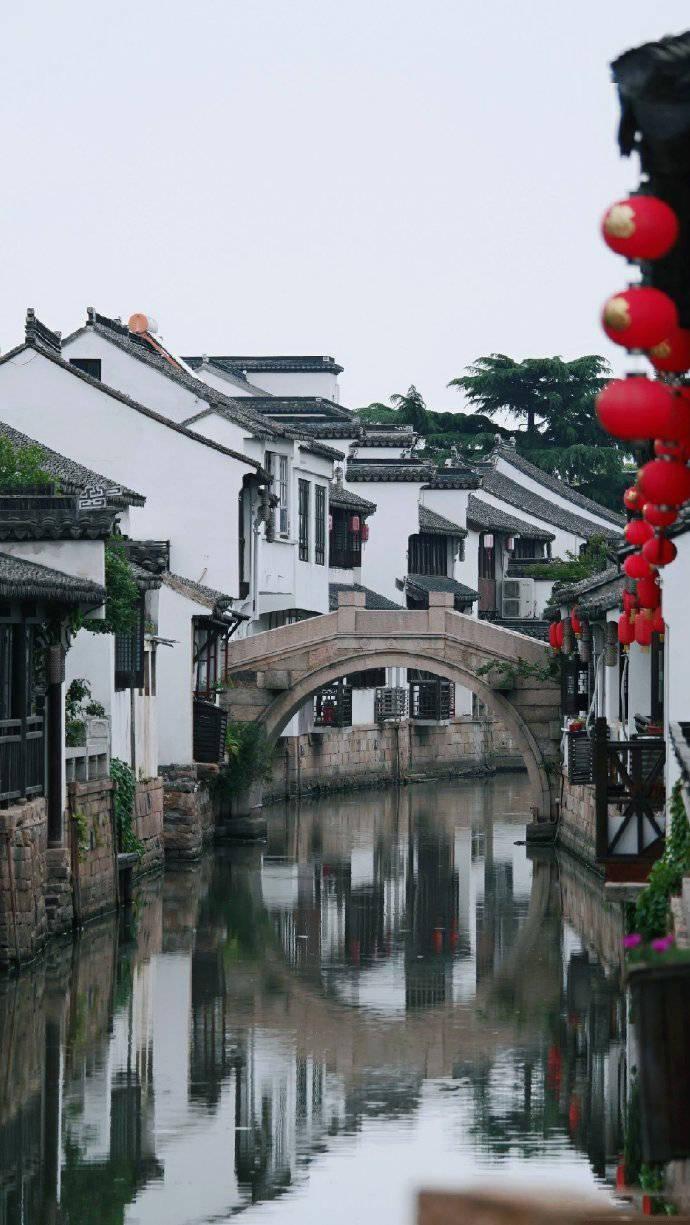 森系丛林