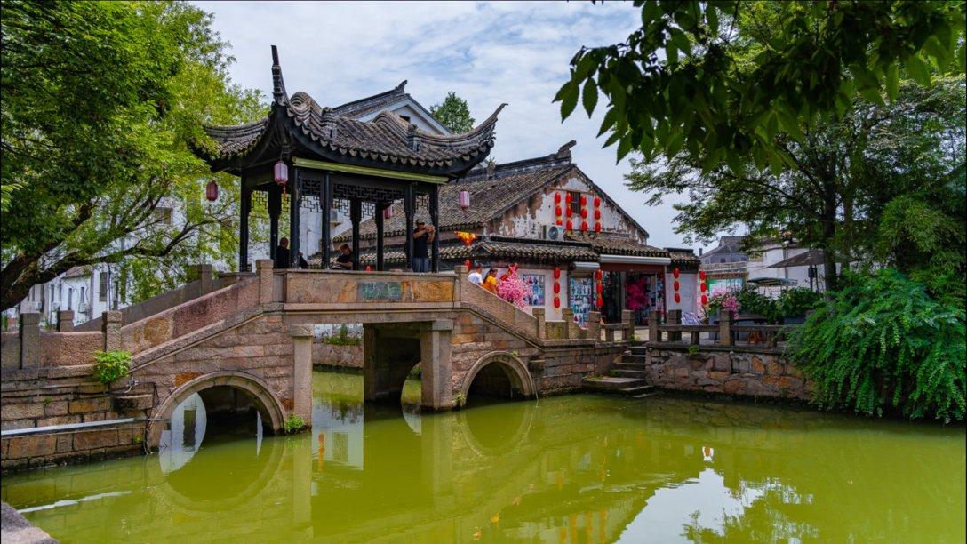救援小袋熊