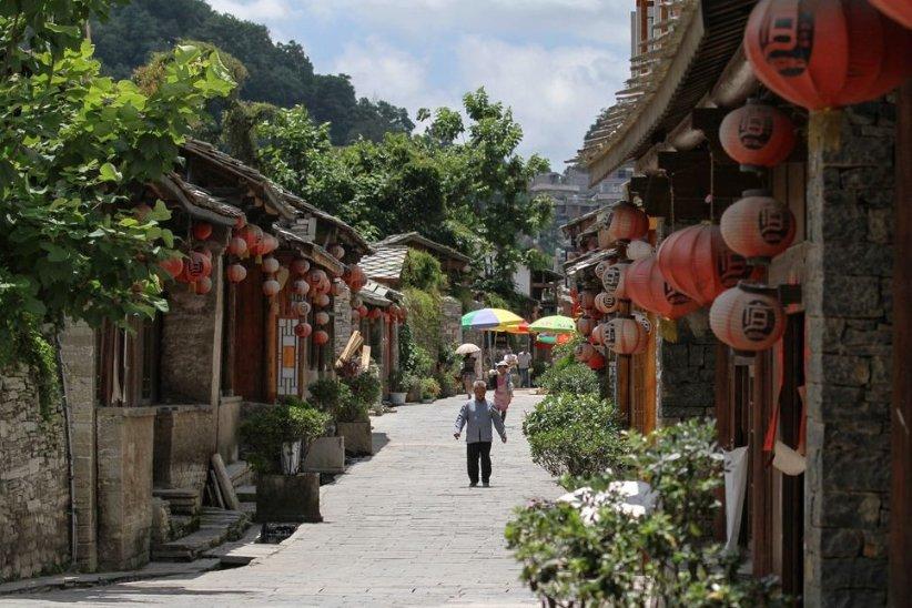 寻找萌小老虎
